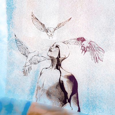 Meditate Front Cover