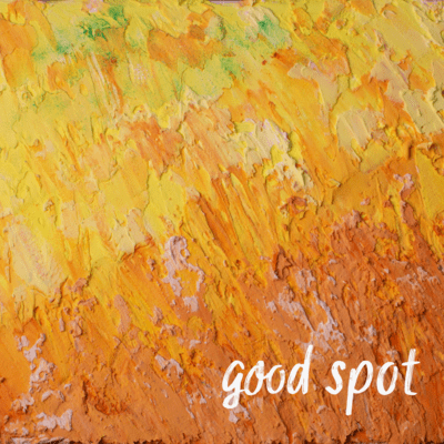 good spot Front Cover