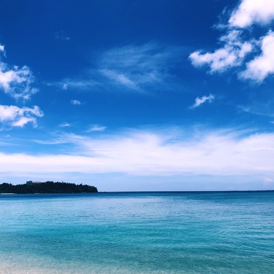 泡になってのジャケット写真