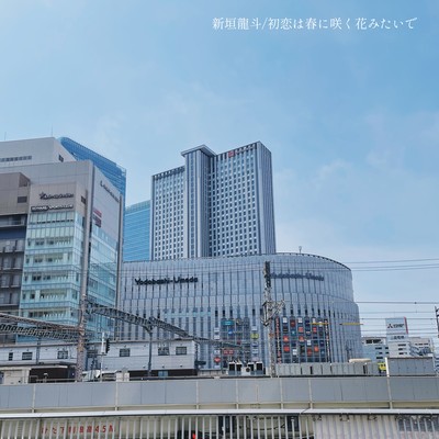 First love is like a flower that blooms in spring Front Cover
