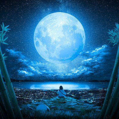 月君想のジャケット写真