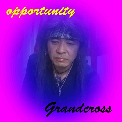 opportunity Front Cover