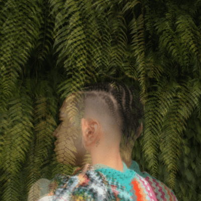 Step Step Step Front Cover