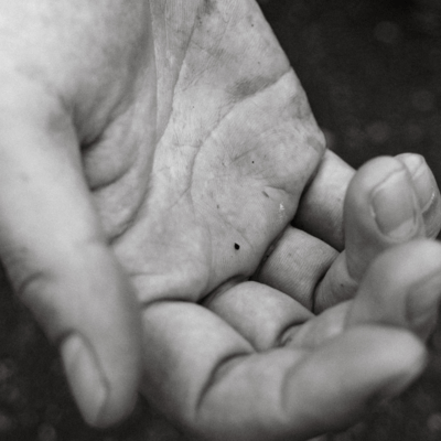 Distortion Front Cover