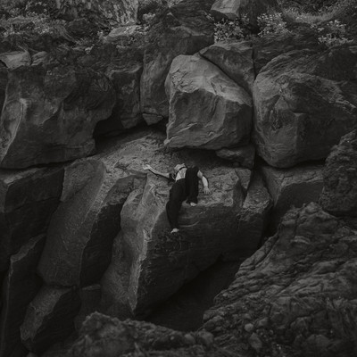 Moegaraのジャケット写真