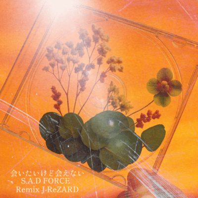 I want to see you, but I can't. (Remix) Front Cover