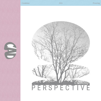 Perspectiveのジャケット写真