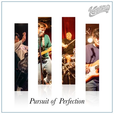 Pursuit of Perfectionのジャケット写真