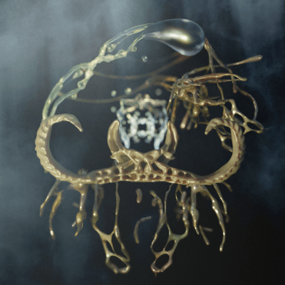 kamisama Front Cover