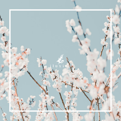 stranger Front Cover