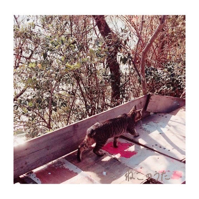 ねこのうたのジャケット写真