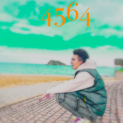 4564のジャケット写真