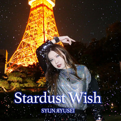 Stardust Wish Front Cover