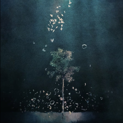 Grace Front Cover