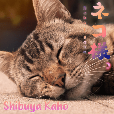 Neko-sama Front Cover