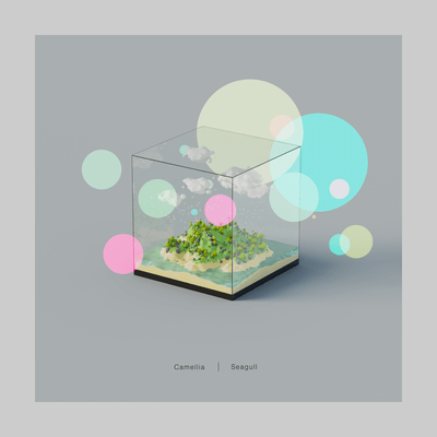 Seagull (360 Reality Audio) Front Cover