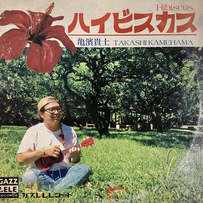 Hibiscus Front Cover