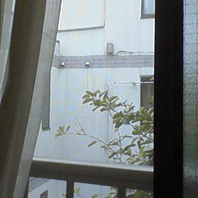 whatever you like (feat. Hanakuma Chifuyu) Front Cover