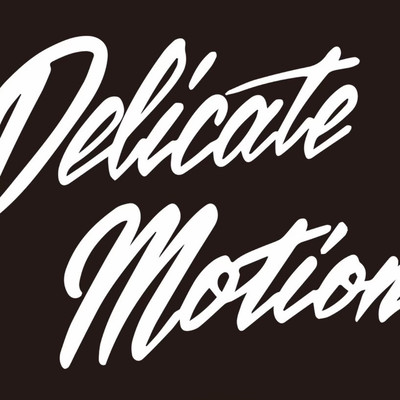 Delicate Motion Front Cover