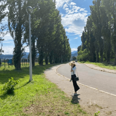 On the day when cicada cries Front Cover