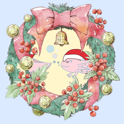 Dreams of Santa Front Cover