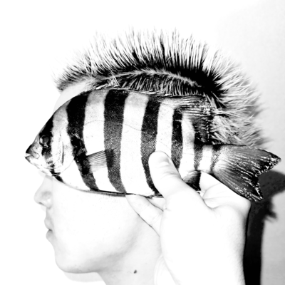 EDOMAEのジャケット写真