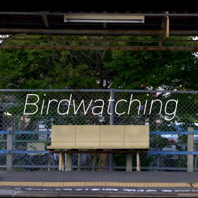 Birdwatching Front Cover