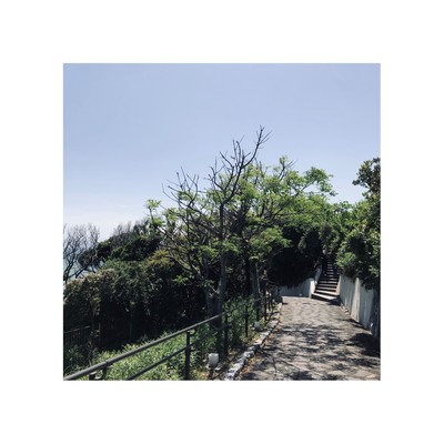 Pack It Softlyのジャケット写真