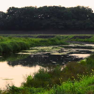 A stone I will never step on again Front Cover
