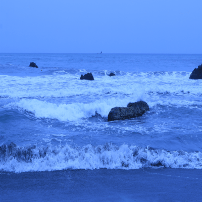 sea Front Cover