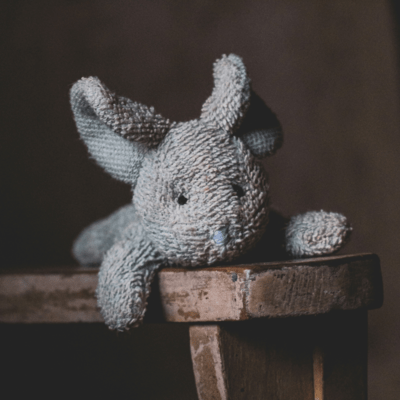 runaway bunny Front Cover
