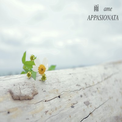 Ame Front Cover