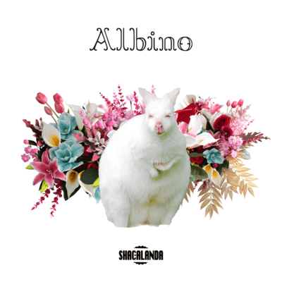 Albino Front Cover