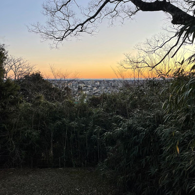 long for youのジャケット写真