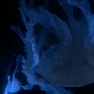 sleep by my side Front Cover