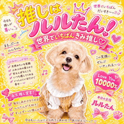OSHIHALULUTAN! Front Cover