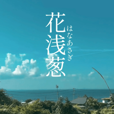 花浅葱のジャケット写真