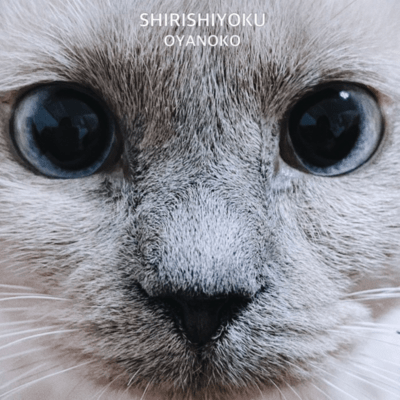 SHIRISHIYOKUのジャケット写真