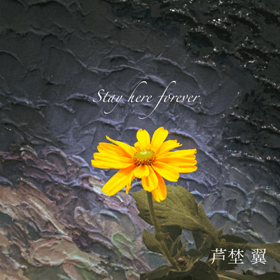 Stay here forever (feat. MITSUKI)のジャケット写真