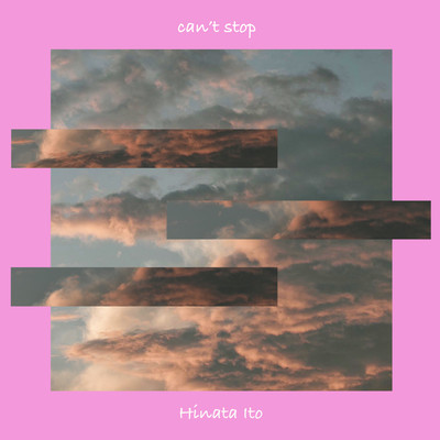 can't stop Front Cover