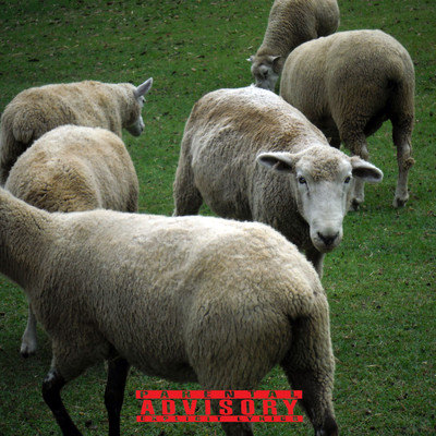 PRIDE (feat. L1awan)のジャケット写真