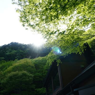 Korekara Front Cover