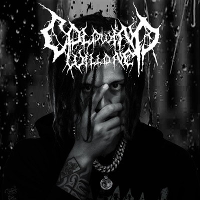 COLD WINDのジャケット写真