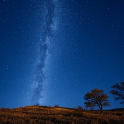 d (ox (C Front Cover