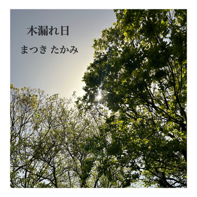 Sunlight filtering through leaves Front Cover