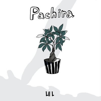 Pachira Front Cover