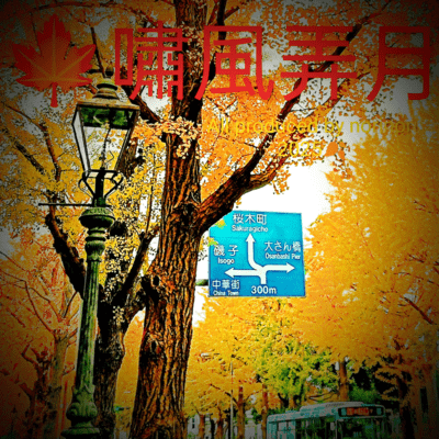 Show who low gets Front Cover