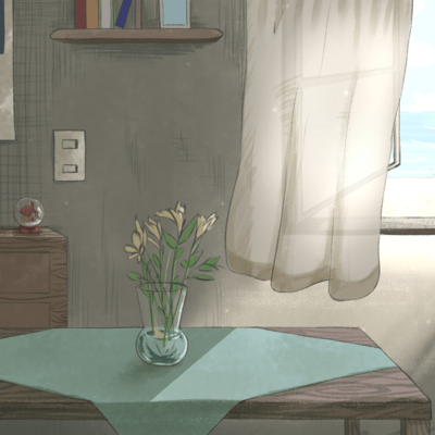 Curtain Front Cover