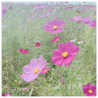 Happy End Front Cover