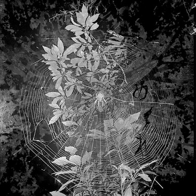 Mekure Front Cover